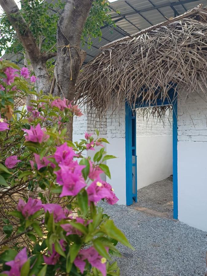 Hostel Calaila バルカラ エクステリア 写真
